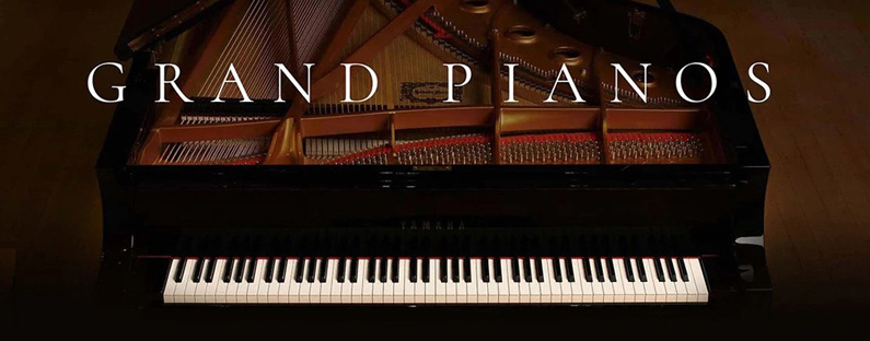 Piano numérique 88 Touches Semi-lestées avec Support Clavier de Piano  Pleine Taille 88 Touches Connexion Bluetooth Piano avec pédale de Sustain  (Couleur : Blanc) (Marron) : : Instruments de musique et Sono